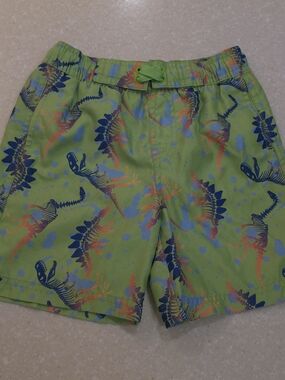Toddler Academy Dinosaur Swim Trunks Shorts Size 4 Drawstring Elastic Lined